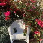 Szálloda Alexandra - Boutique