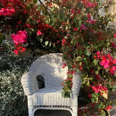 Otel Alexandra - Boutique