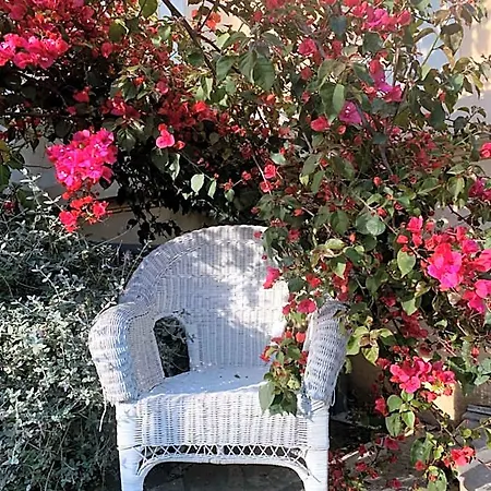 Ξενοδοχείο Alexandra - Boutique Ζουάν λε Πιν