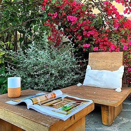 Alexandra - Boutique Szálloda Juan-les-Pins