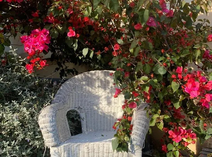 Hotel Alexandra - Boutique